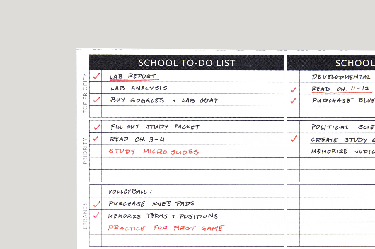 Down load Free of charge Planners Equipment Pion Planner photograph regarding Software to Create Planner Pages named Down load Free of charge Planners Extras Pion Planner